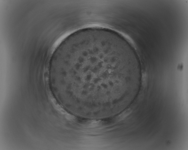 X0000112851279200908281554