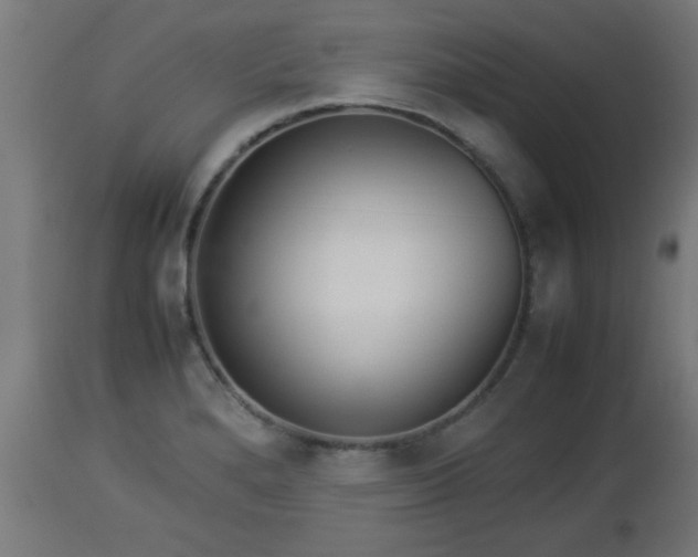 X0000112851280200908281554