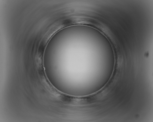 X0000112851281200908281554
