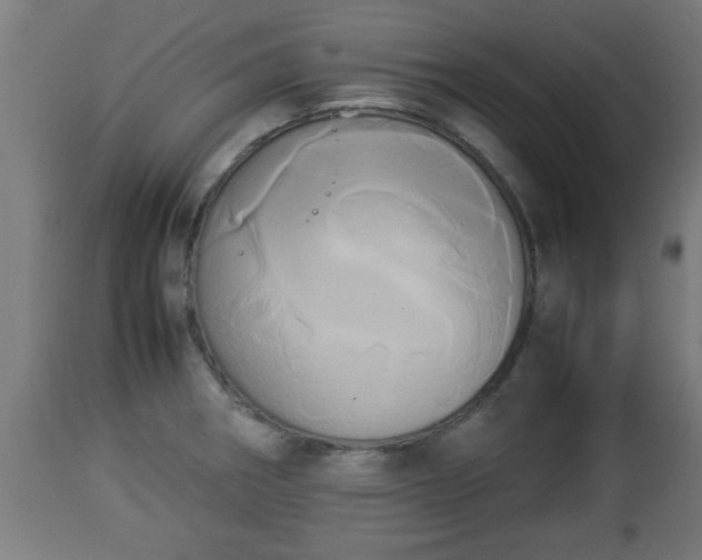 X0000112851282200908281554