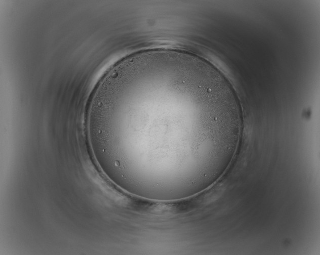 X0000112851283200908281554