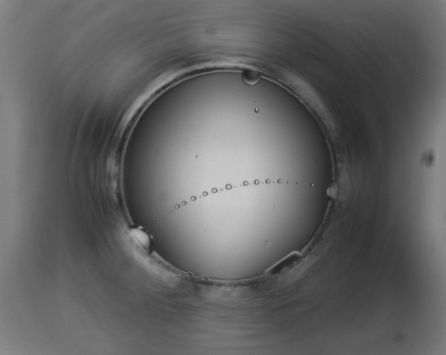 X0000112851284200908281554