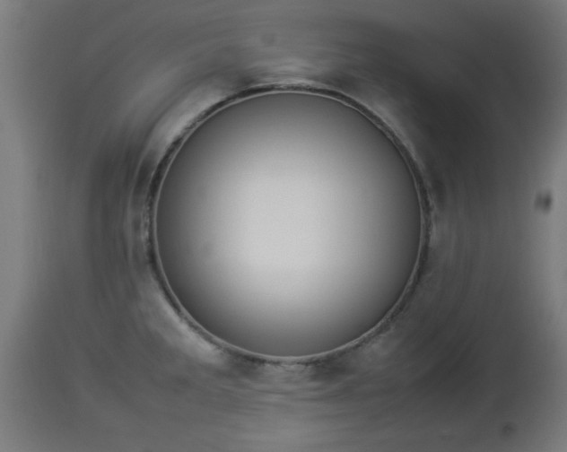 X0000112851285200908281554