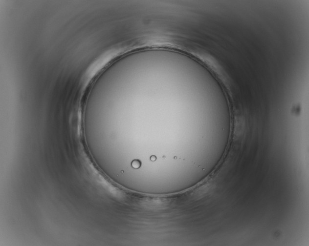 X0000112851286200908281554