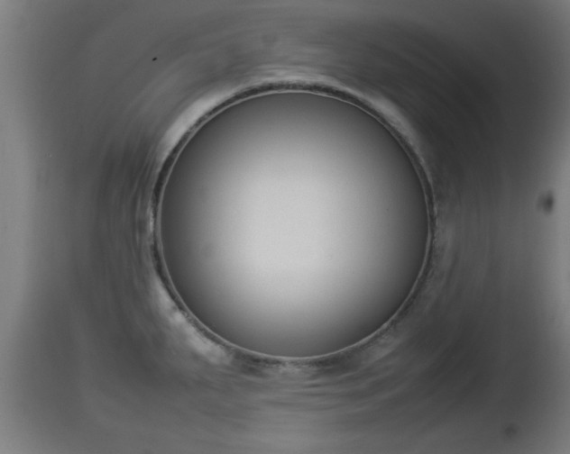 X0000112851287200908281554