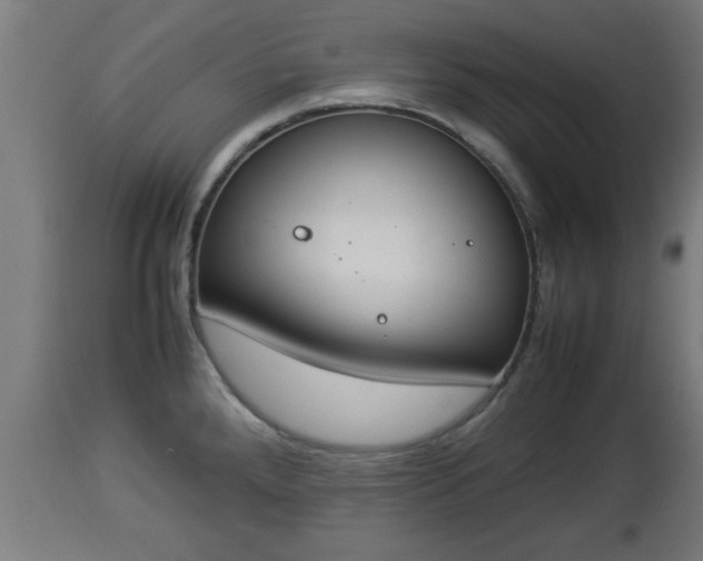 X0000112851288200908281554