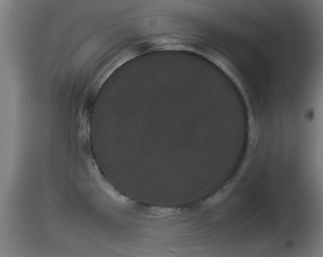 X0000112851289200908281554