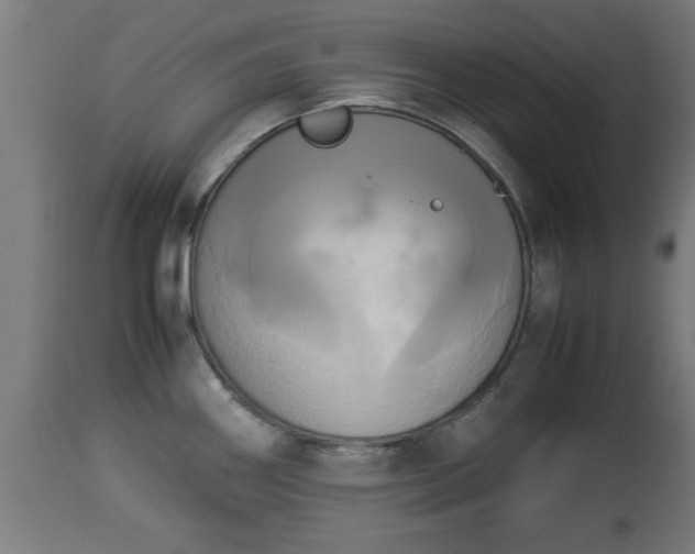 X0000112851290200908281554