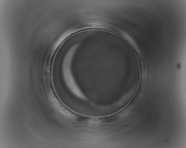 X0000112851291200908281554