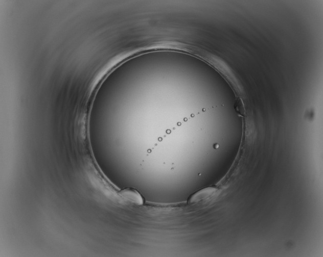 X0000112851292200908281554