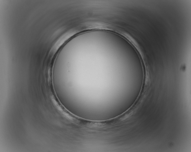 X0000112851293200908281554