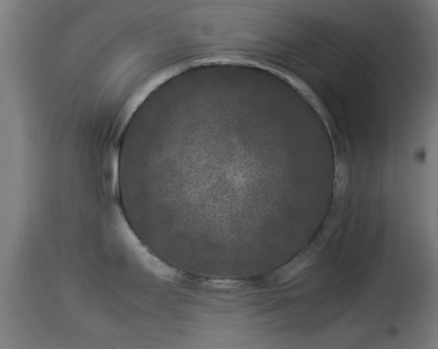 X0000112851295200908281554