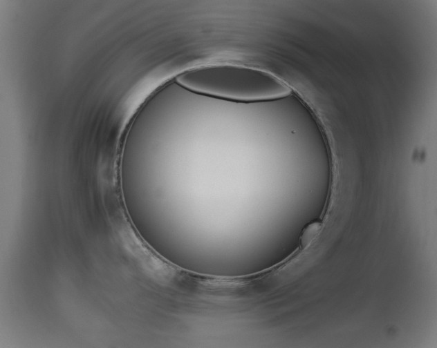 X0000112851296200908281554