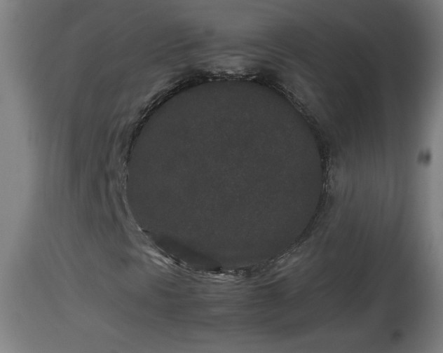 X0000112851297200908281553