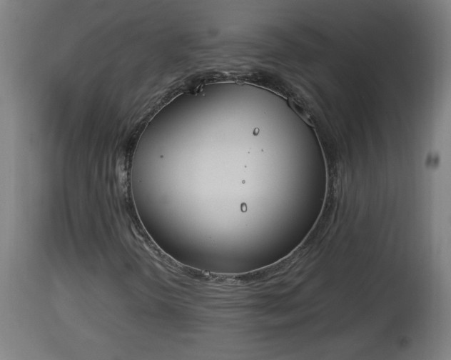 X0000112851298200908281553
