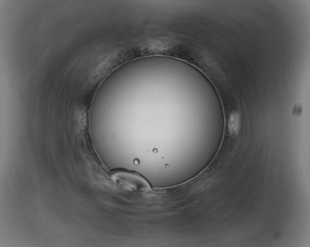 X0000112851299200908281553