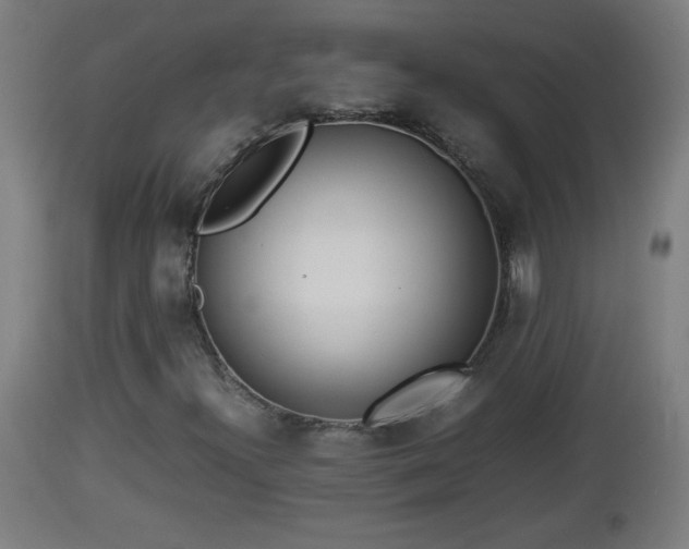 X0000112851300200908281553