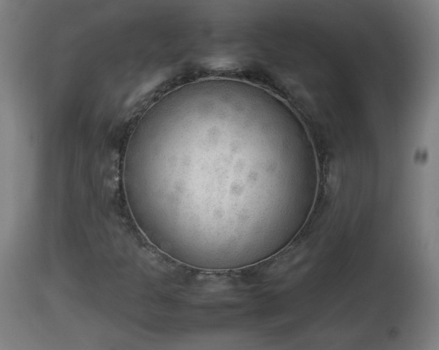 X0000112851301200908281553