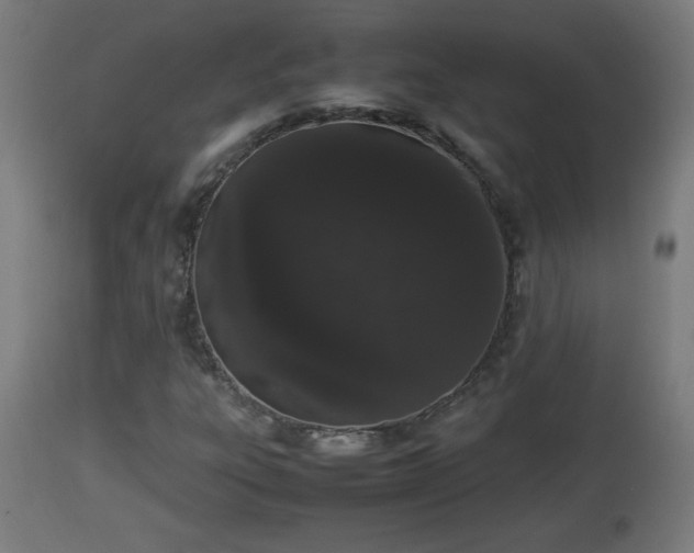 X0000112851303200908281553