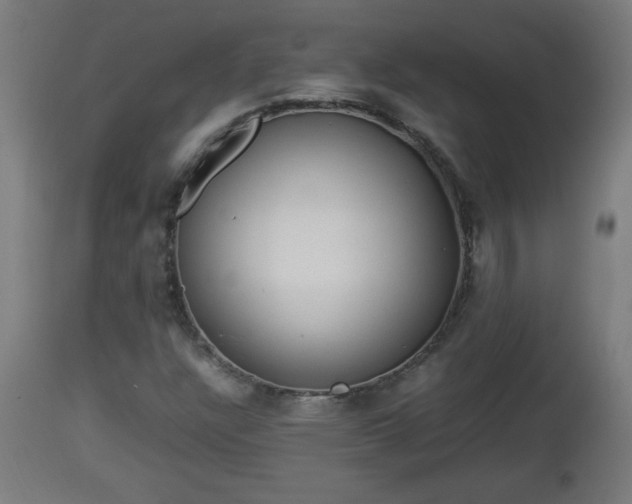 X0000112851304200908281553