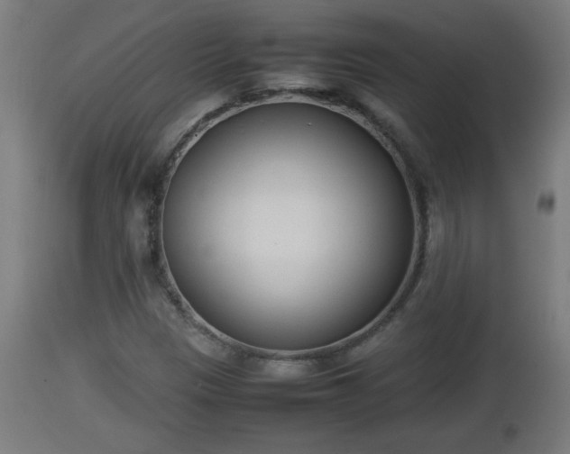 X0000112851305200908281553