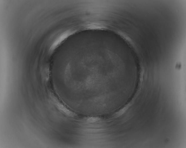 X0000112851306200908281553