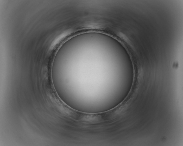 X0000112851307200908281553