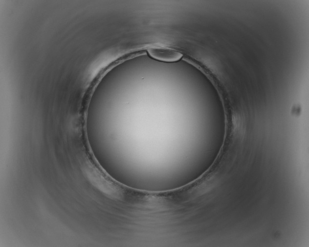 X0000112851308200908281554