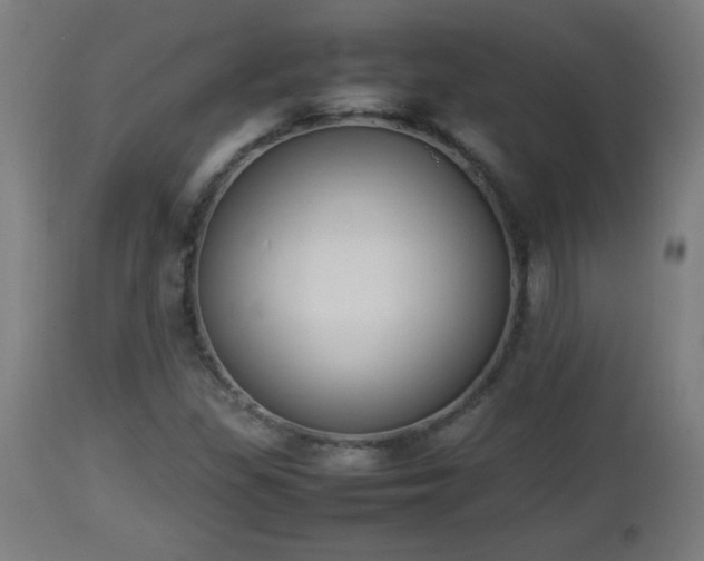 X0000112851309200908281554