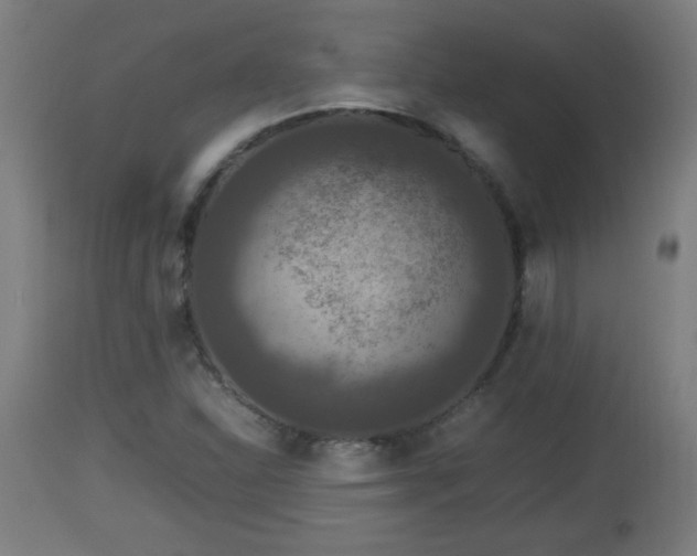 X0000112851310200908281554