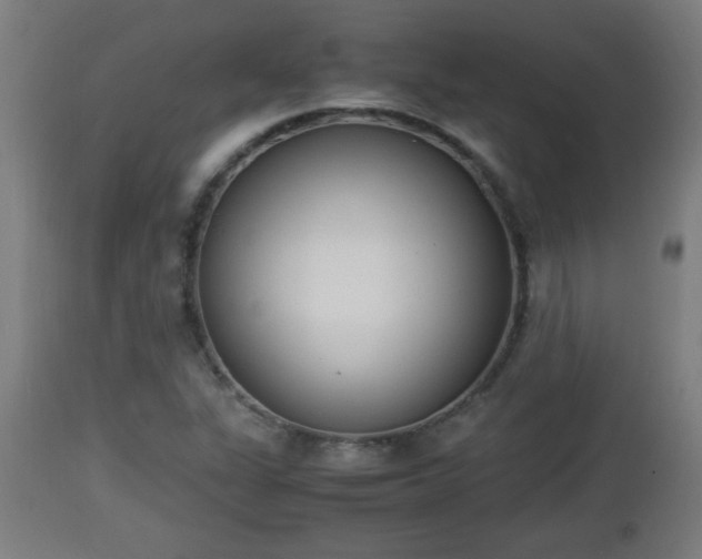X0000112851311200908281554