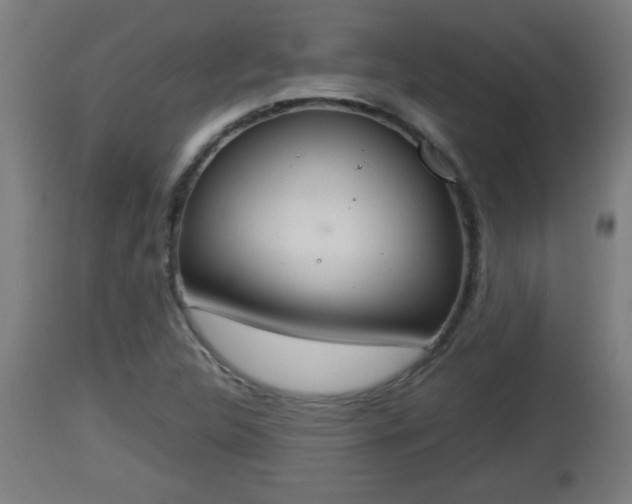 X0000112851312200908281554