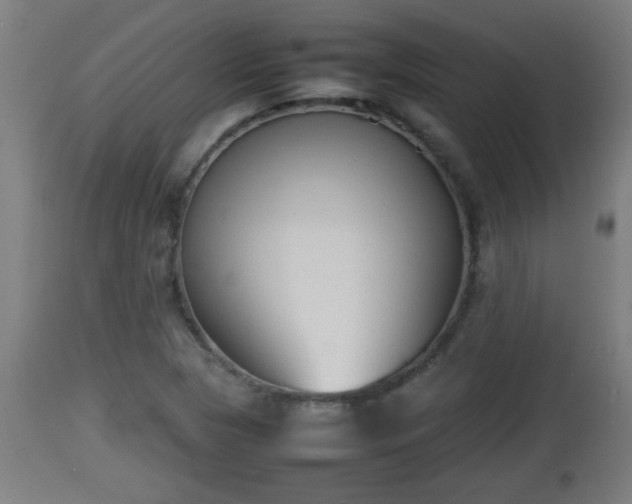 X0000112851313200908281554