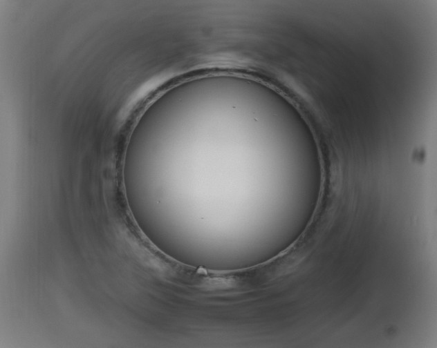 X0000112851315200908281554