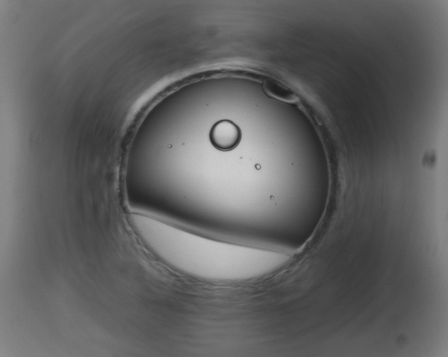 X0000112851316200908281554