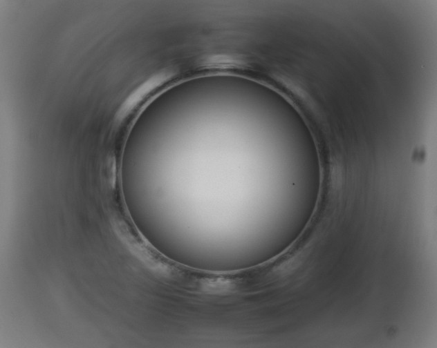 X0000112851317200908281554