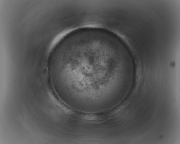 X0000112851319200908281554