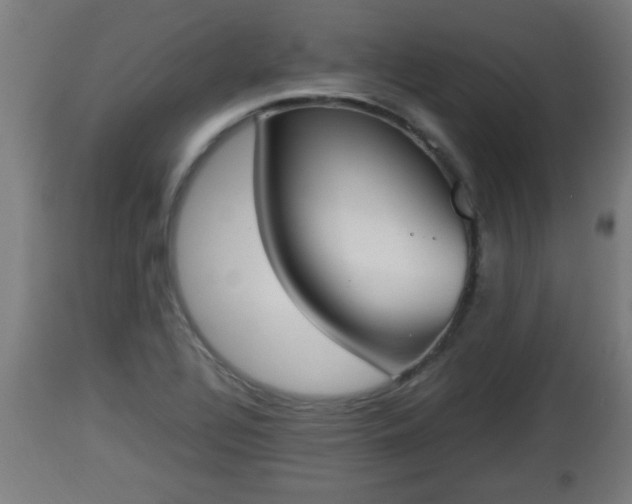 X0000112851320200908281554