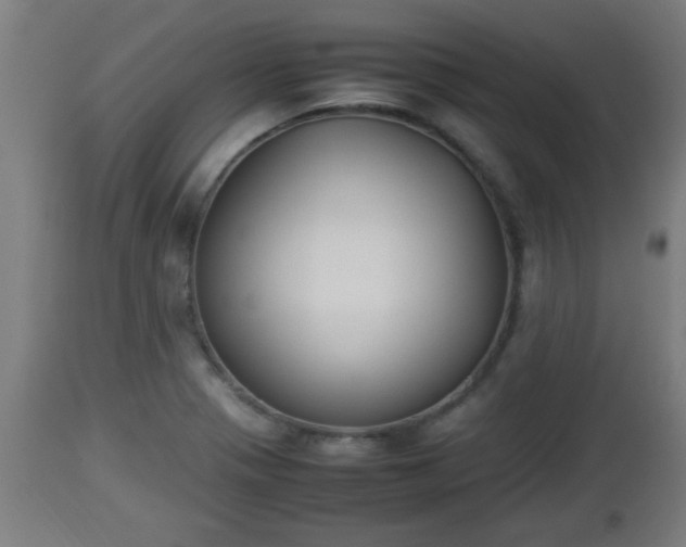 X0000112851321200908281554