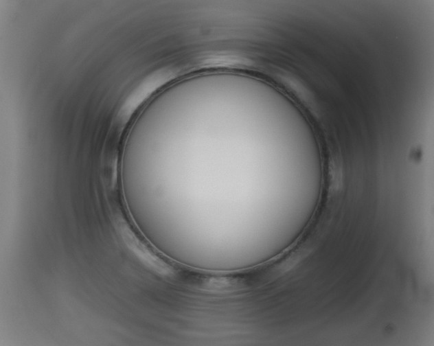 X0000112851322200908281554