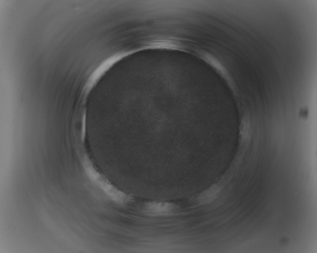 X0000112851323200908281554