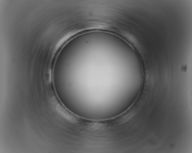 X0000112851324200908281554