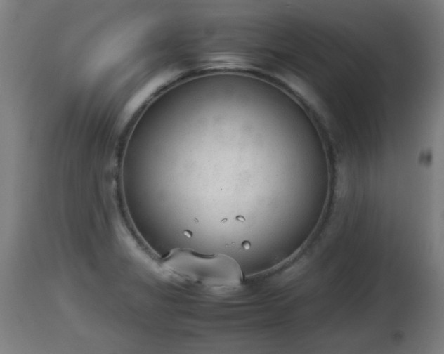 X0000112851325200908281554