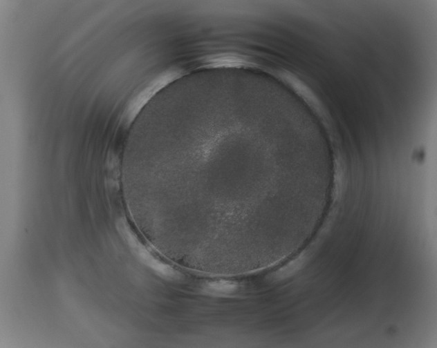 X0000112851329200908281554
