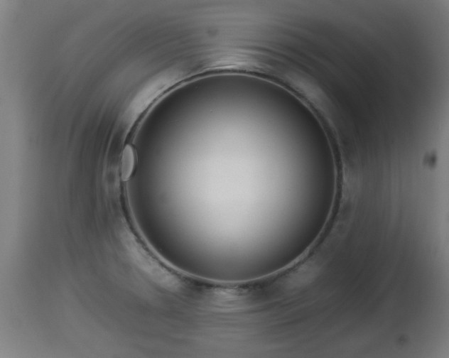 X0000112851330200908281554