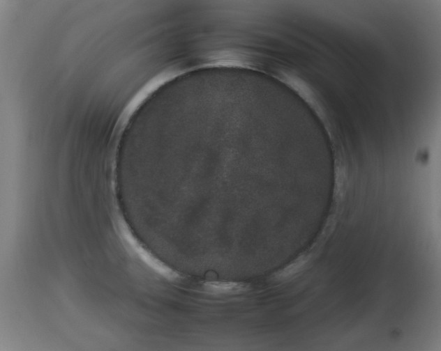 X0000112851331200908281554