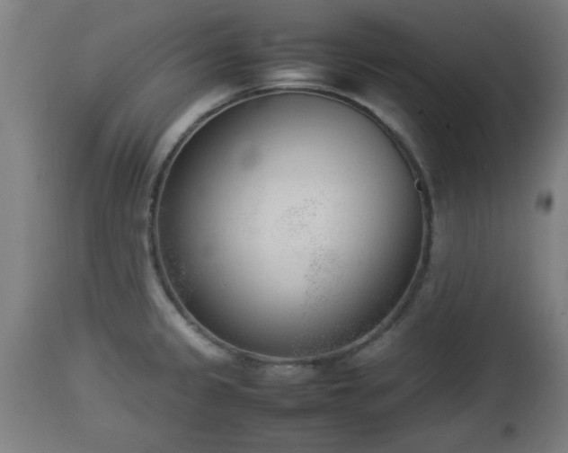 X0000112851333200908281554