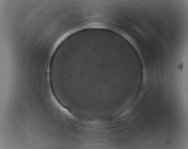 X0000112851334200908281554