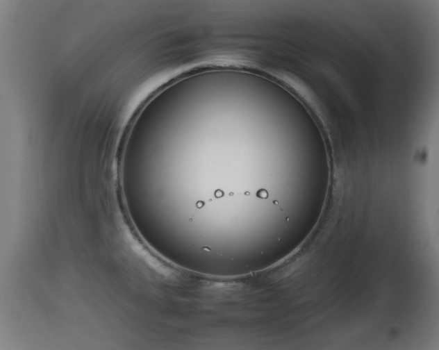 X0000112851335200908281554