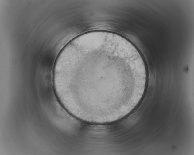 X0000112851338200908281554